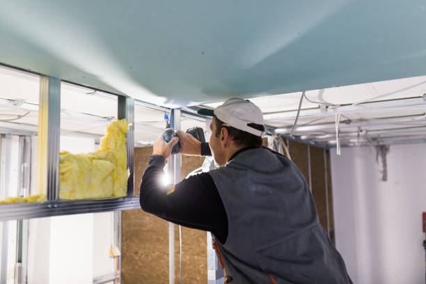 Best Spray Foam Insulation  in Northlakes, NC