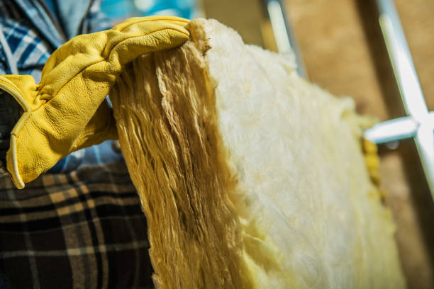 Best Spray Foam Insulation  in Northlakes, NC