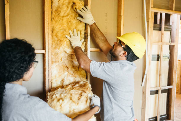 Best Attic Insulation Installation  in Northlakes, NC