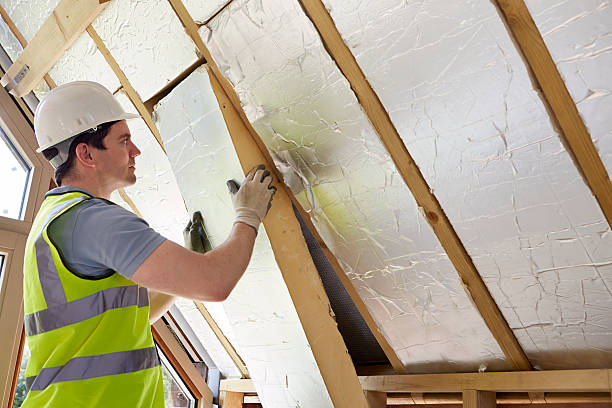 Best Insulation for New Construction  in Northlakes, NC