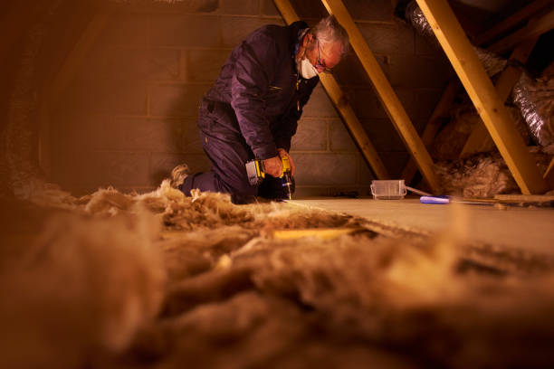 Best Fiberglass Insulation  in Northlakes, NC